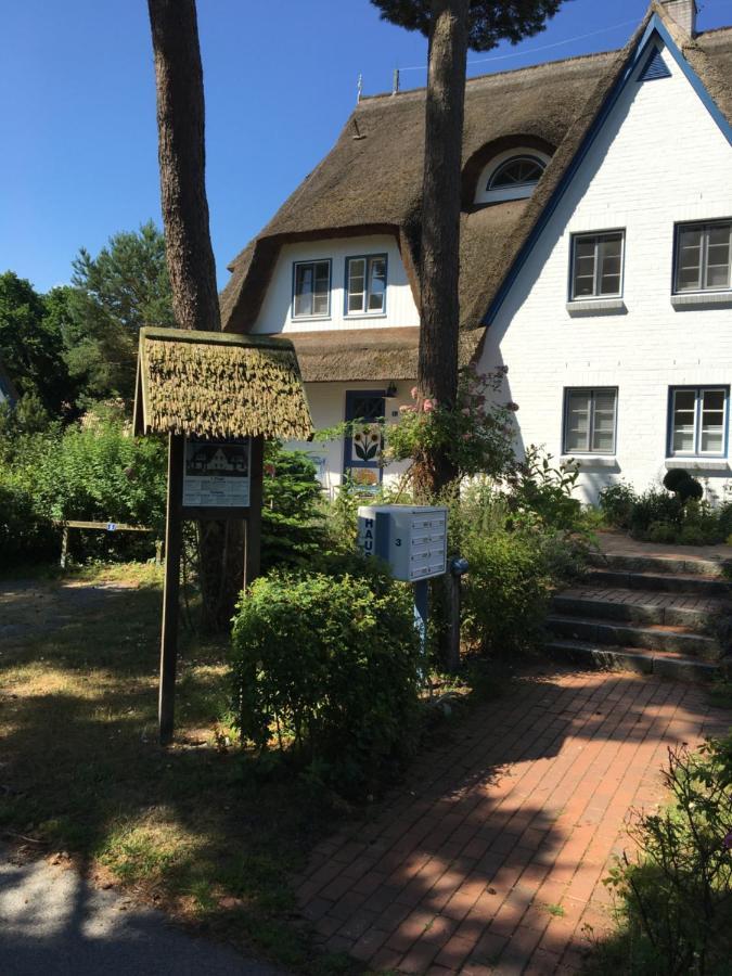 Fewo Sonnenblume Achtern Diek Zingst Zewnętrze zdjęcie