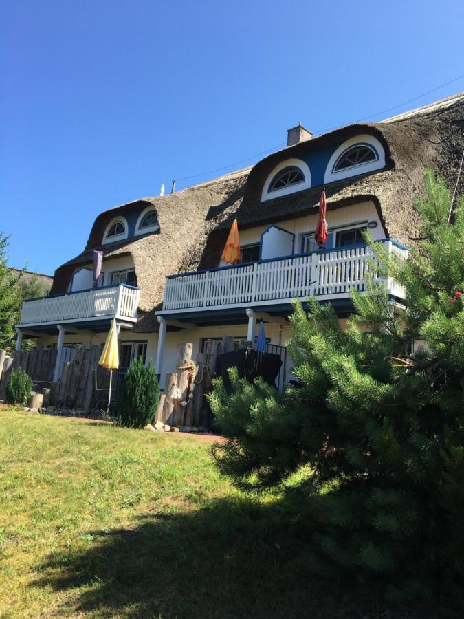 Fewo Sonnenblume Achtern Diek Zingst Zewnętrze zdjęcie